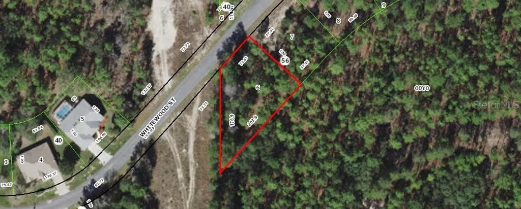 15 WHITEWOOD STREET HOMOSASSA, FL 34446