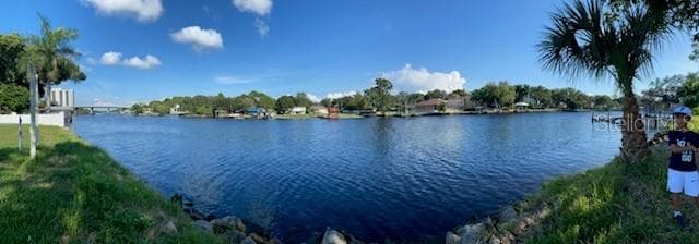 4305 N RIVER VIEW AVENUE TAMPA, FL 33607
