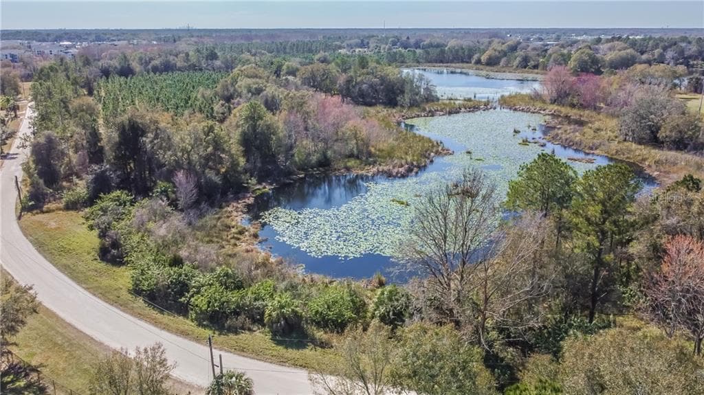0 20 MILE LEVEL LAND O LAKES, FL 34639