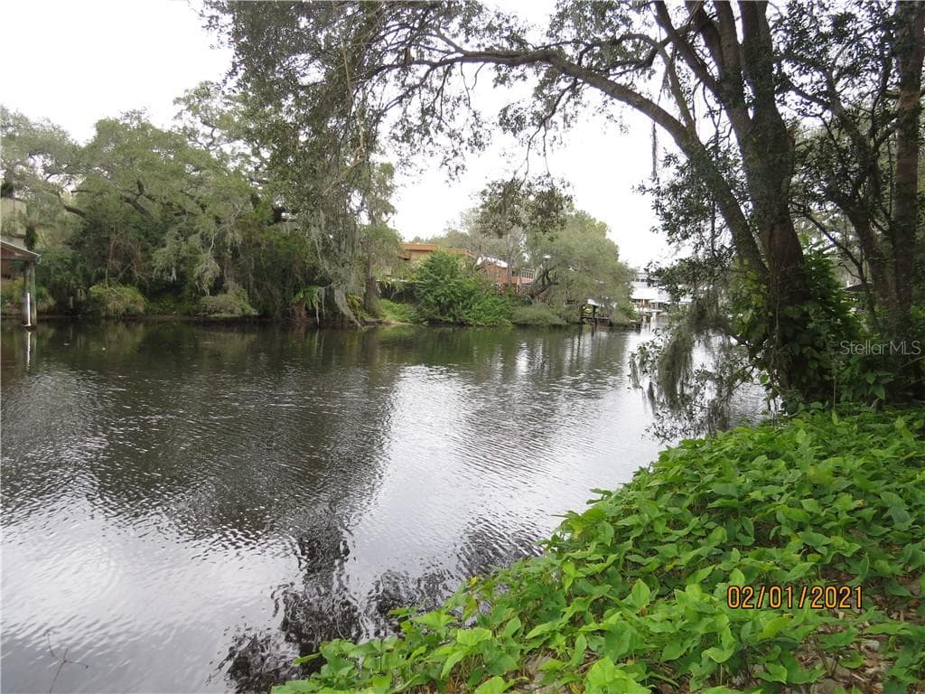 323 W HANLON STREET TAMPA, FL 33604