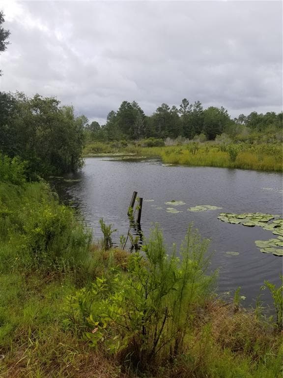 9862 LAKE DRIVE WEEKI WACHEE, FL 34613