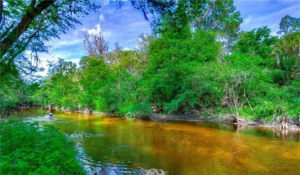 COCONUT COVE PLACE VALRICO, FL 33596