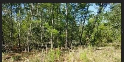 19 GERBERA COURT HOMOSASSA, FL 34446