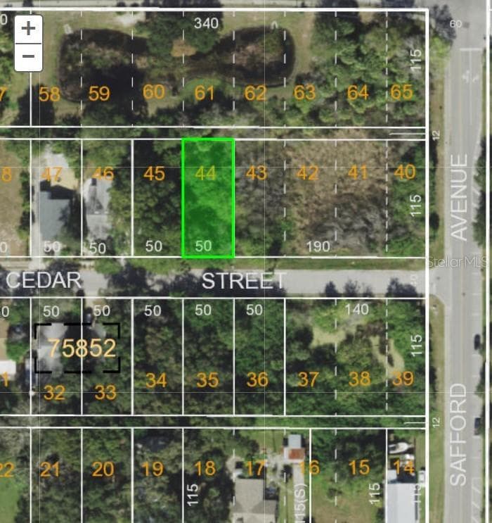 CEDAR STREET TARPON SPRINGS, FL 34689