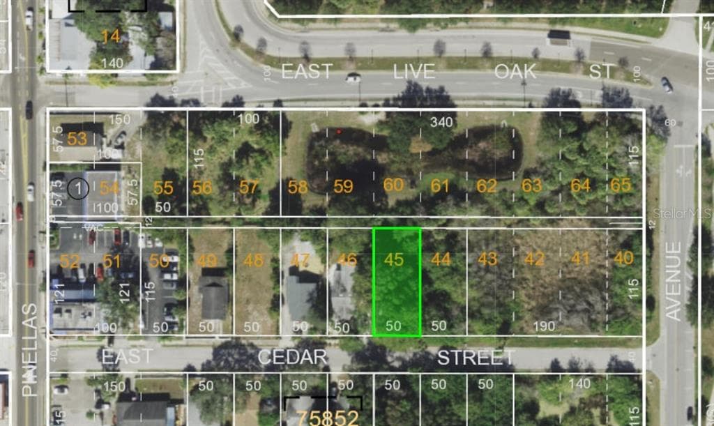 CEDAR STREET TARPON SPRINGS, FL 34689