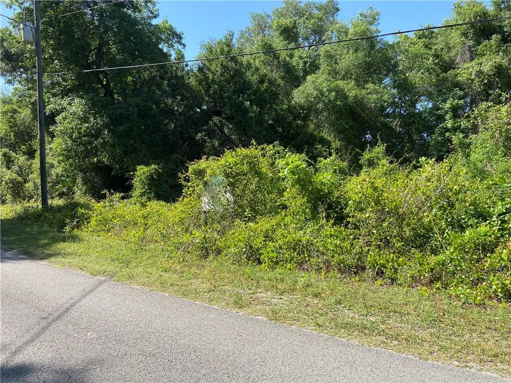 11333 E SALMON DRIVE FLORAL CITY, FL 34436