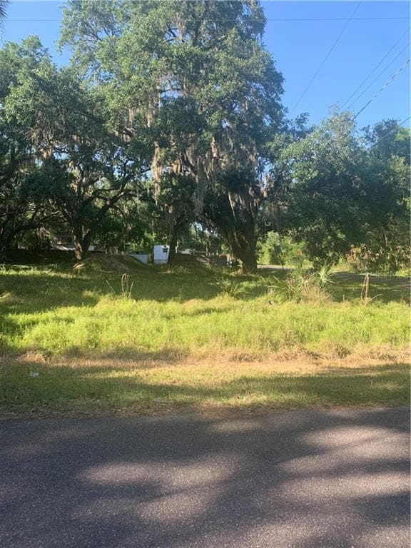 3808 RUTH AVE BRANDON, FL 33511