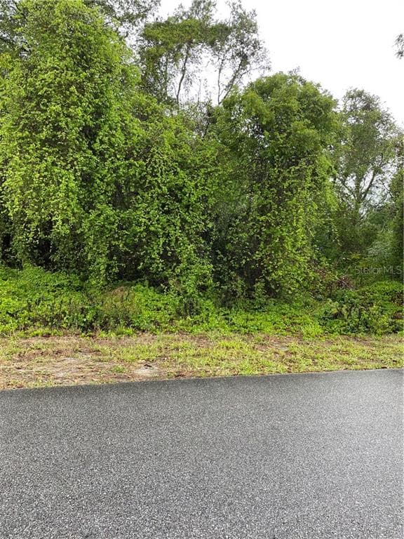 1407 BOLGER AVENUE SPRING HILL, FL 34609