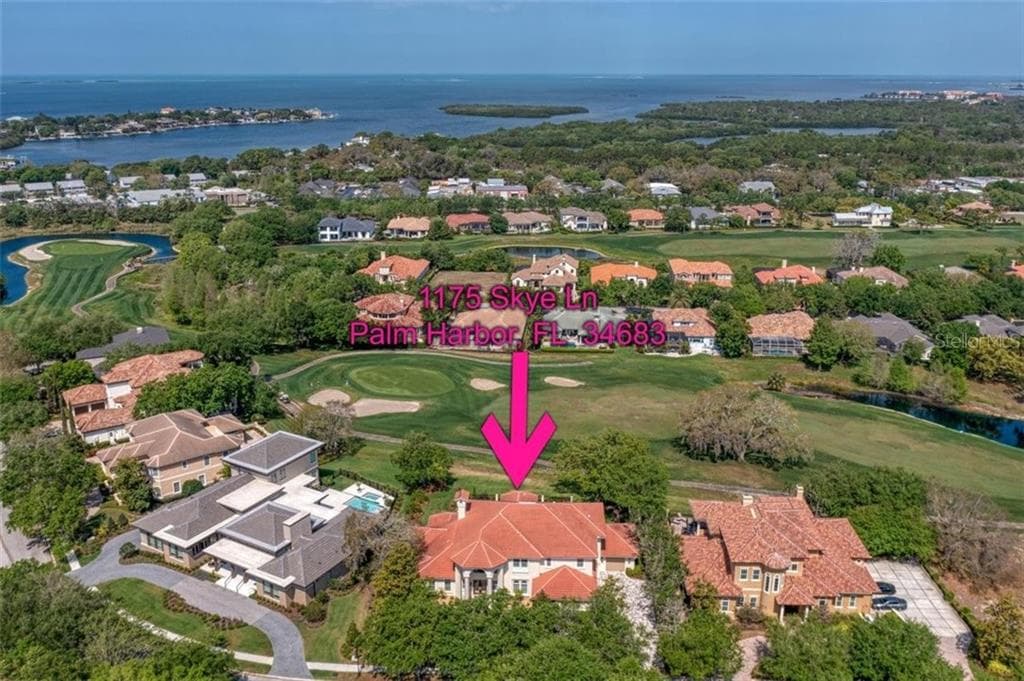 1175 SKYE LANE PALM HARBOR, FL 34683