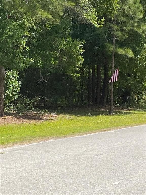 0 EVERGREEN BOULEVARD POLK CITY, FL 33868