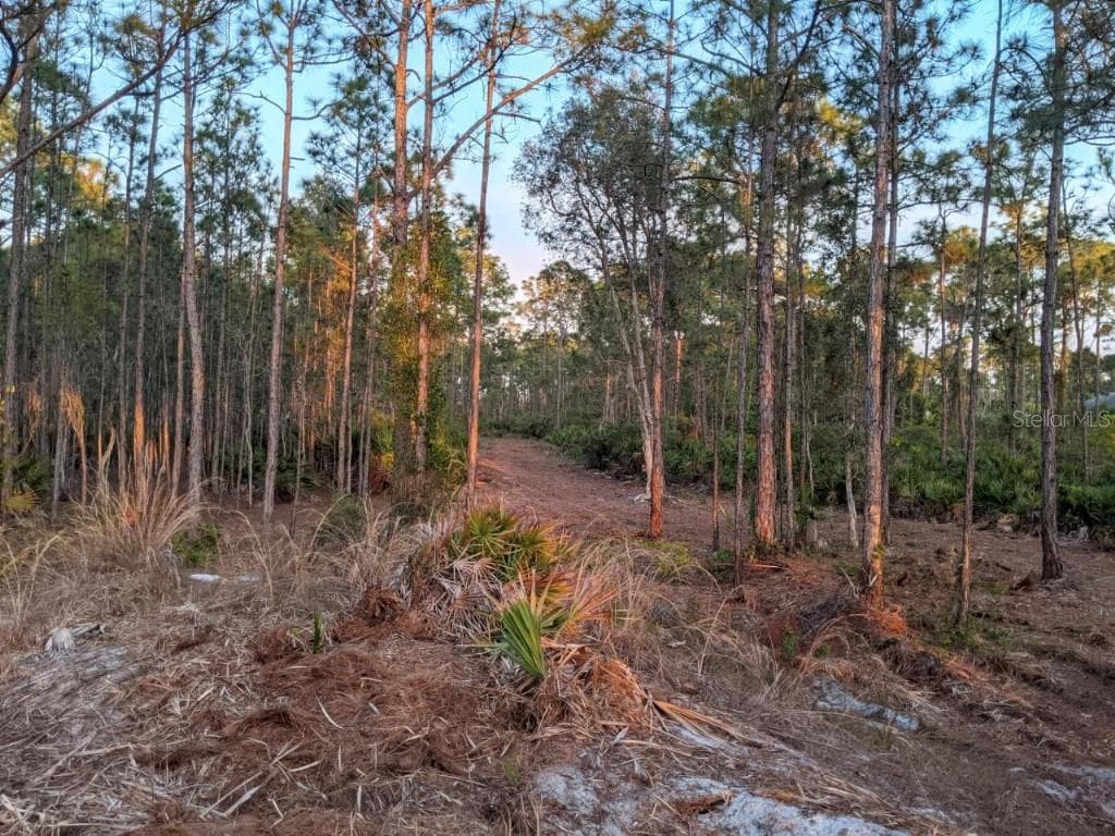 15235 DEER PASS ROAD PUNTA GORDA, FL 33955