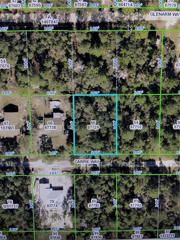 0 CARRIE WAY WEEKI WACHEE, FL 34613