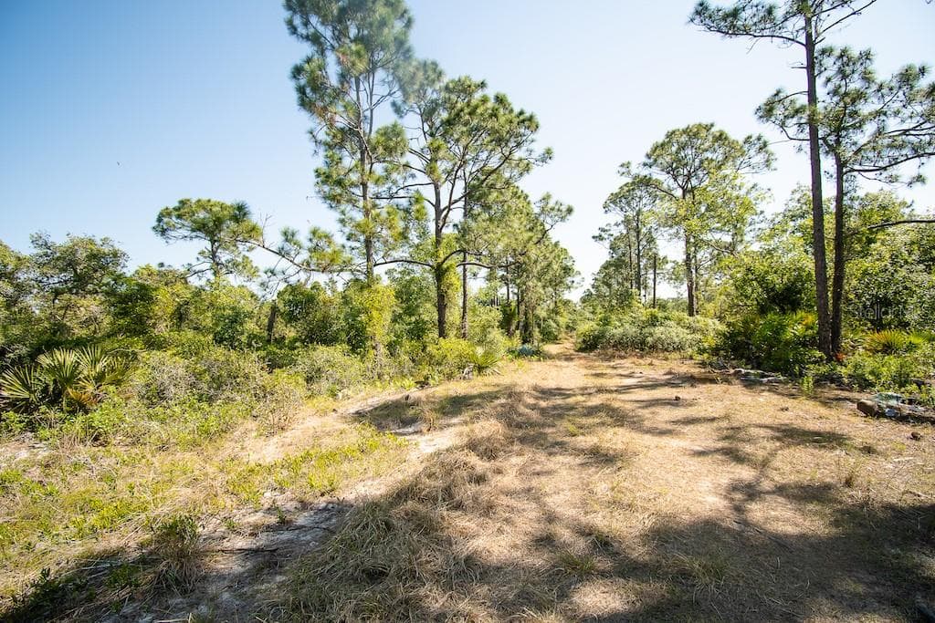 1204 CARDWELL STREET LAKE PLACID, FL 33852