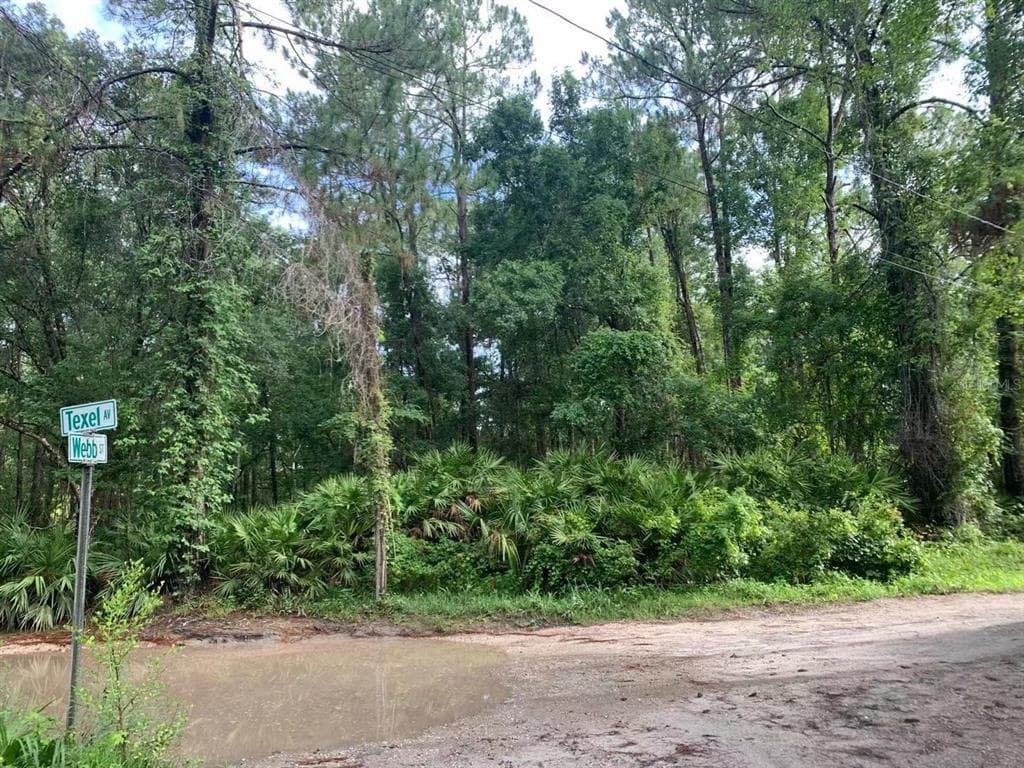 TEXEL AVENUE NEW PORT RICHEY, FL 34654
