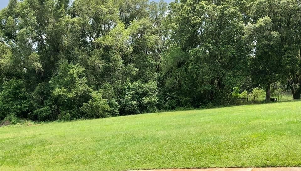 MONET DRIVE ZEPHYRHILLS, FL 33540