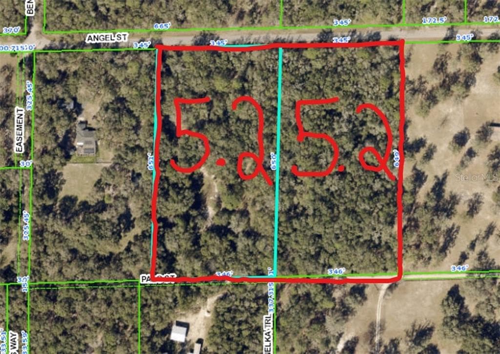 25174 ANGEL STREET BROOKSVILLE, FL 34601