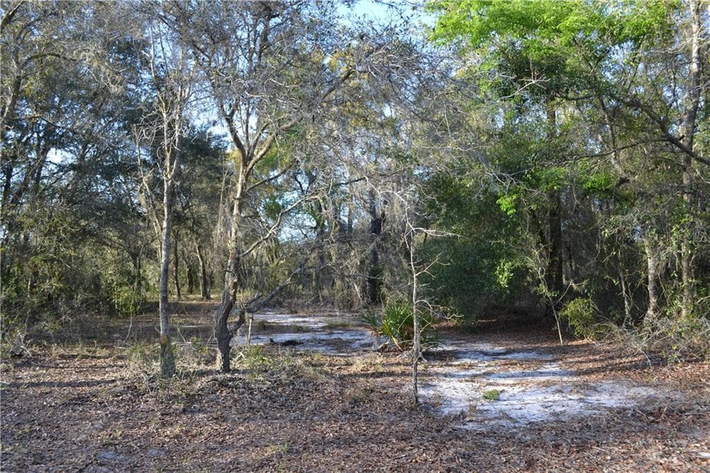 SHARON STREET HUDSON, FL 34669