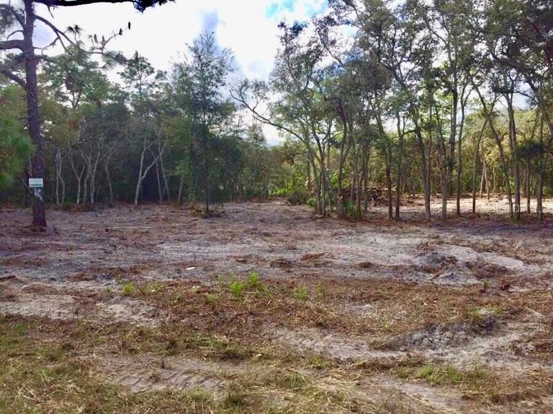 7455 GLENCHESTER DRIVE WEBSTER, FL 33597