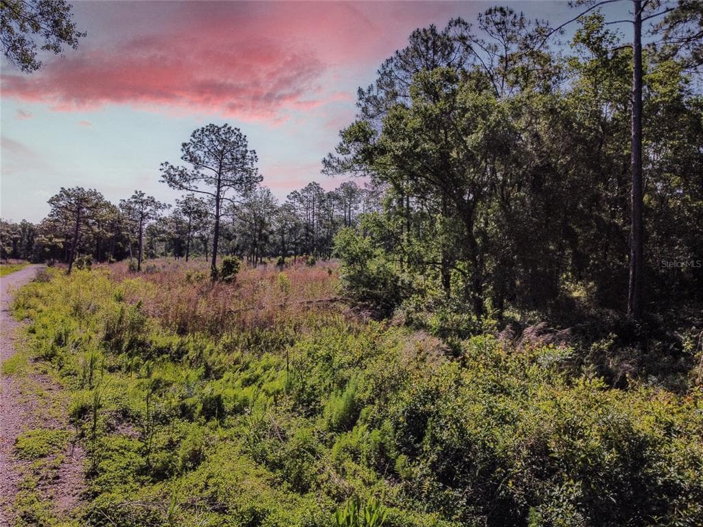 14805 BERKFORD AVENUE TAMPA, FL 33625