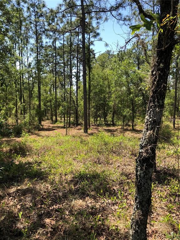 0 SE 116TH LANE DUNNELLON, FL 34431