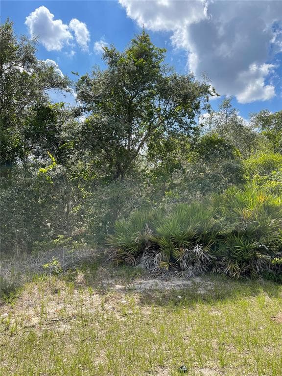 615 MEDITERRANEAN COURT POINCIANA, FL 34759