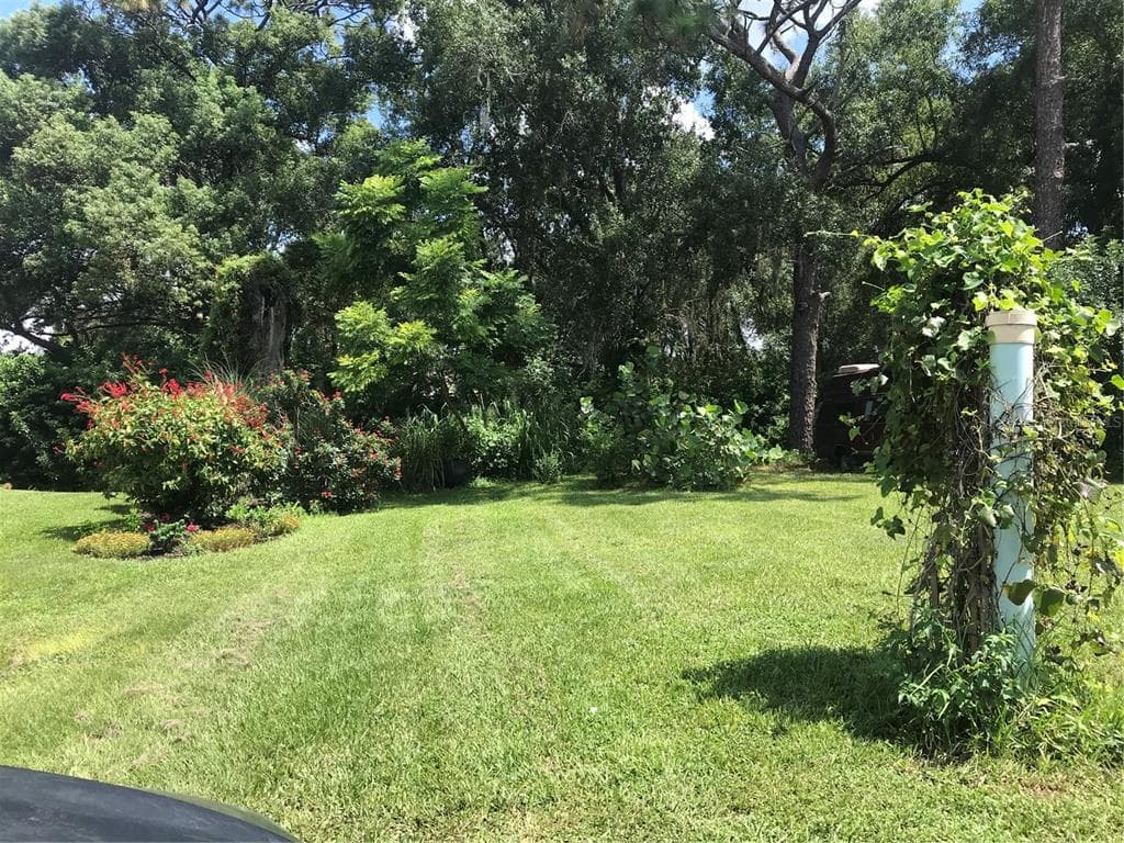MAZO LUTZ, FL 33558