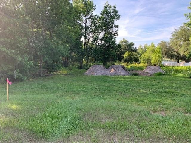Lot 24 LAKE HILLS DRIVE RIVERVIEW, FL 33569