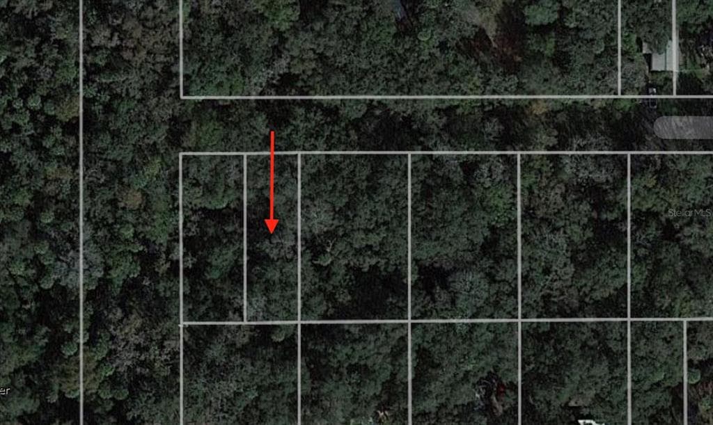 939 ESTELLE AVENUE BRANDON, FL 33511
