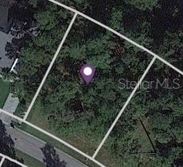 19573 STERLING BLUFF WAY BROOKSVILLE, FL 34601