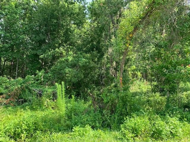 Lot 19 LAKE HILLS DRIVE RIVERVIEW, FL 33569