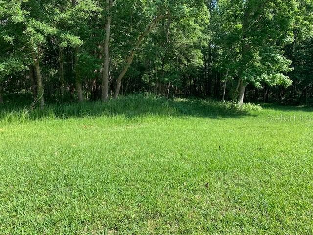 Lot 20 LAKE HILLS DRIVE RIVERVIEW, FL 33569