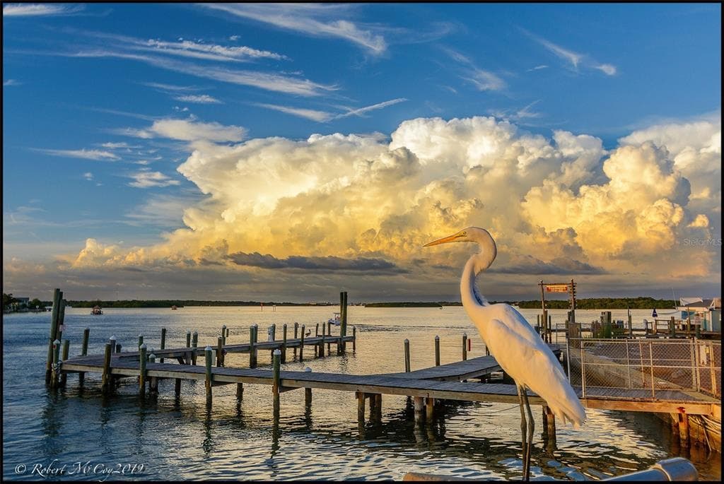 279 104TH AVENUE TREASURE ISLAND, FL 33706