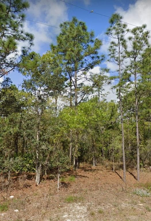 16021 MAN O WAR ROAD WEEKI WACHEE, FL 34614