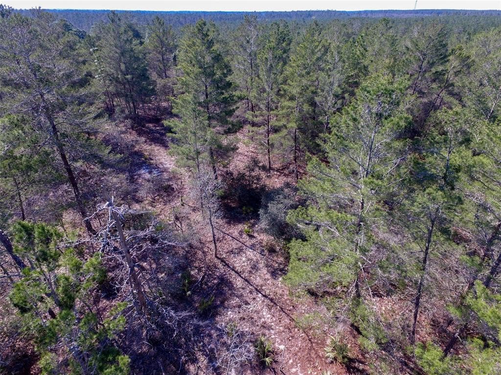 W GALLAGHER ST DUNNELLON, FL 34433