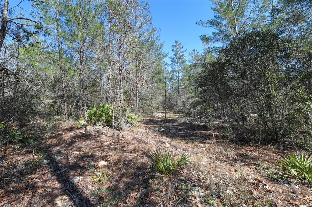 W GALLAGHER ST DUNNELLON, FL 34433