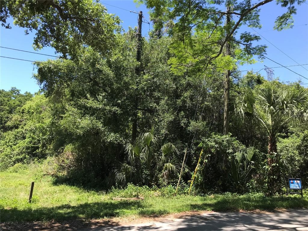 ELM STREET SAFETY HARBOR, FL 34695