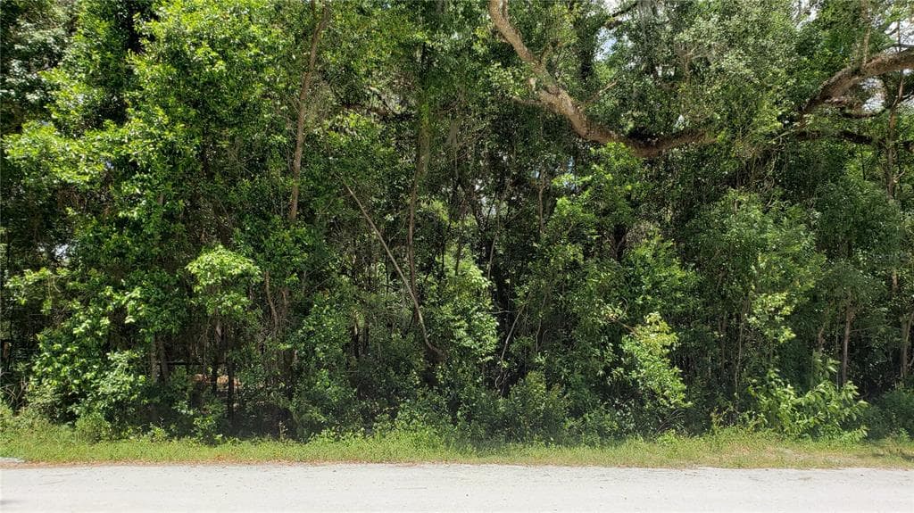 00 MONROE BROOKSVILLE, FL 34604