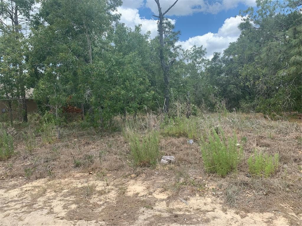 4307 DRISTOL AVENUE SPRING HILL, FL 34609