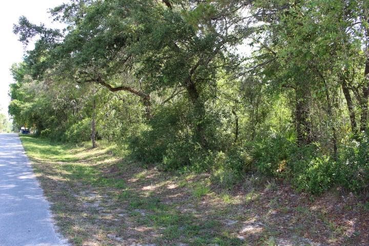 SHALIMAR STREET NEW PORT RICHEY, FL 34654