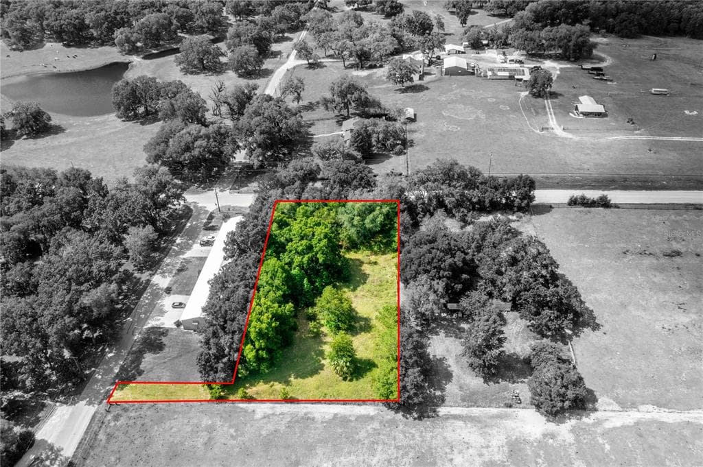 LAKE IOLA ROAD DADE CITY, FL 33523