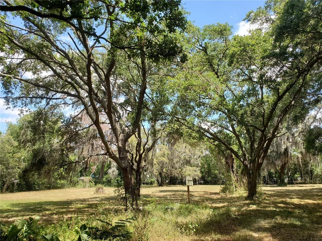 1312 ALFRED STREET BRANDON, FL 33510