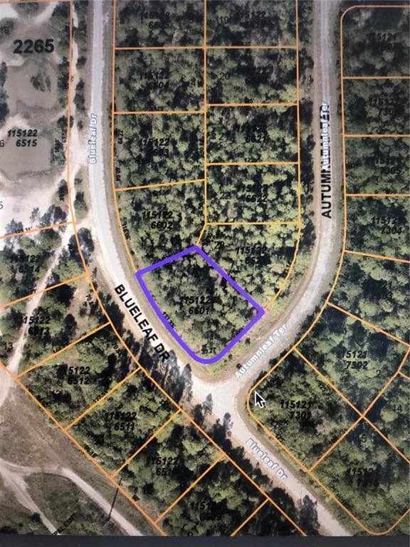 BLUELEAF DRIVE NORTH PORT, FL 34288