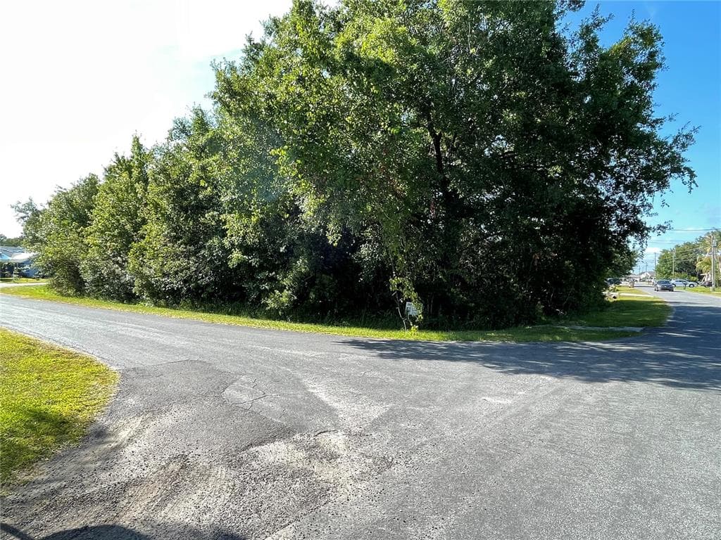 911 SAN MARCO DRIVE KISSIMMEE, FL 34758