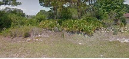 347 FREDERICK STREET NW LAKE PLACID, FL 33852
