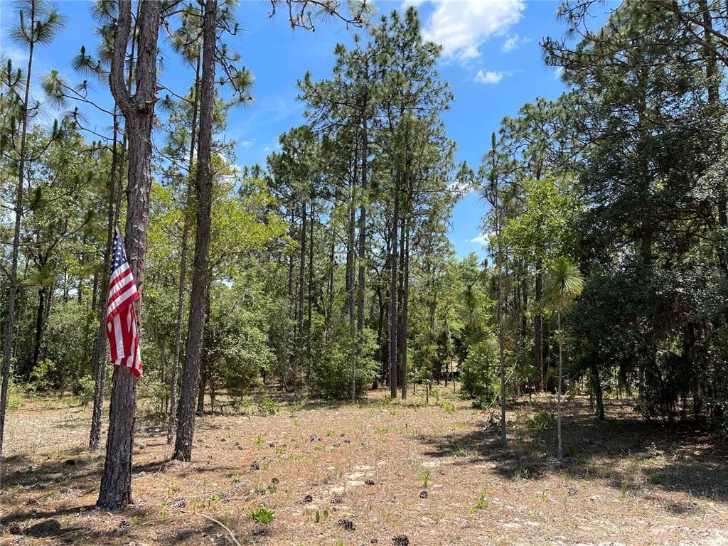 5676 E MCMULLEN ROAD FLORAL CITY, FL 34436