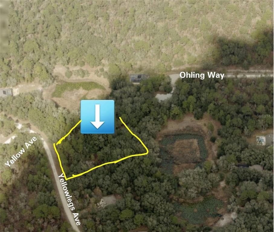 10475 YELLOWLEGS AVENUE WEEKI WACHEE, FL 34614