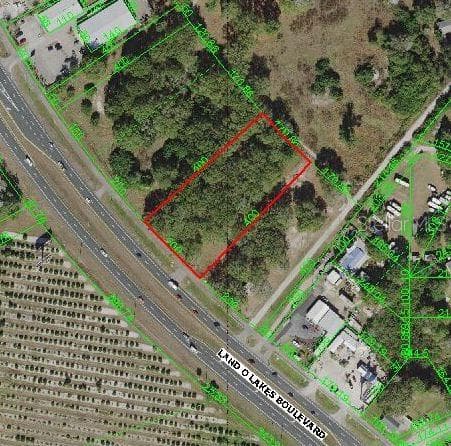 6712 LAND O LAKES BOULEVARD LAND O LAKES, FL 34638