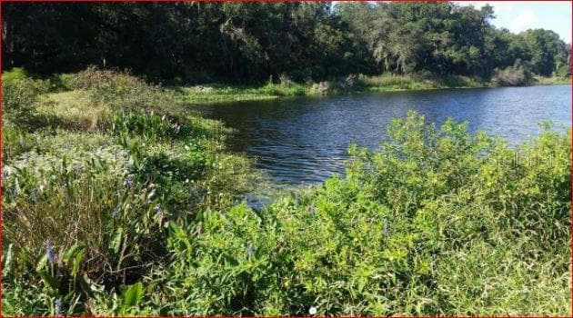 15335 FISHHAWK HEIGHTS RUN LITHIA, FL 33547