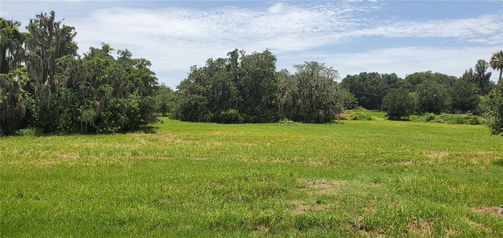 15319 FISHHAWK HEIGHTS RUN LITHIA, FL 33547