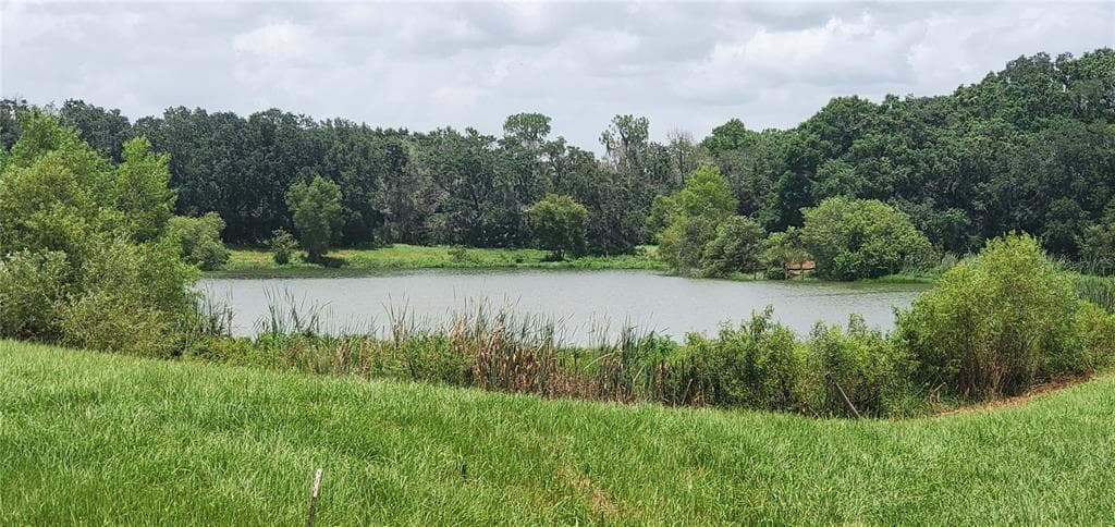 15322 FISHHAWK HEIGHTS RUN LITHIA, FL 33547
